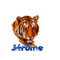 Jérome